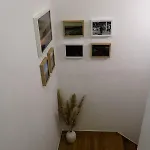 Casa Dos Palecos *