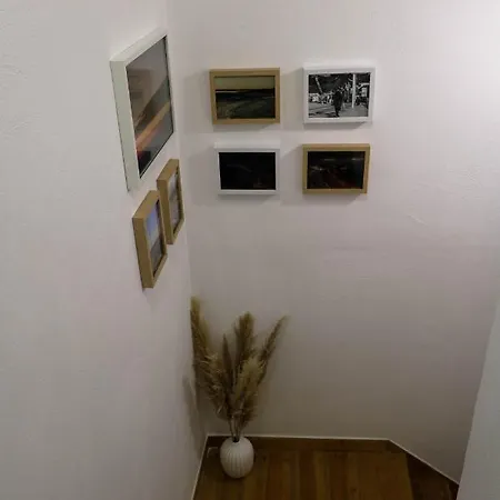 Casa Dos Palecos *
