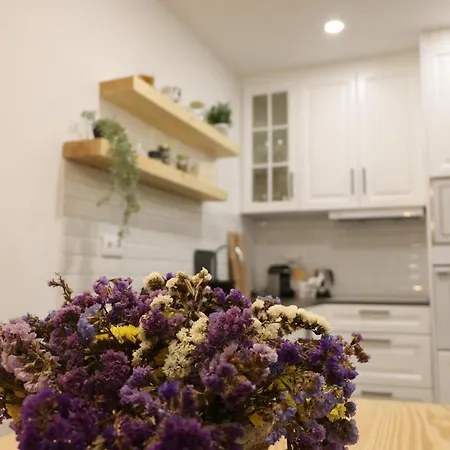 Casa Dos Palecos Casa vacanze *