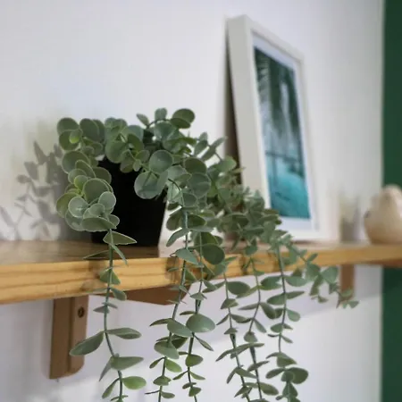 Casa Dos Palecos Casa vacanze *